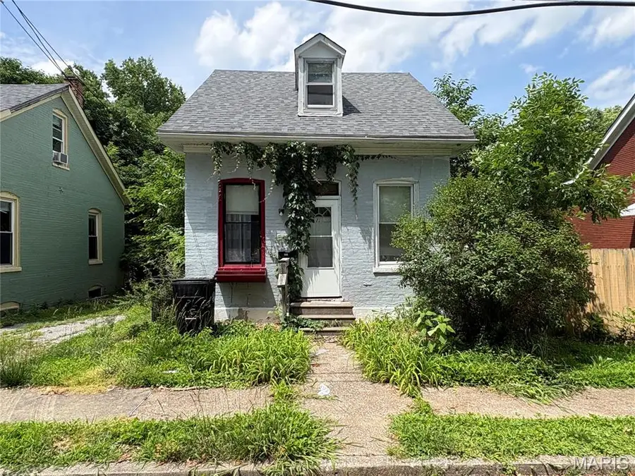 905 W D Street, Belleville, IL 62220 - #2