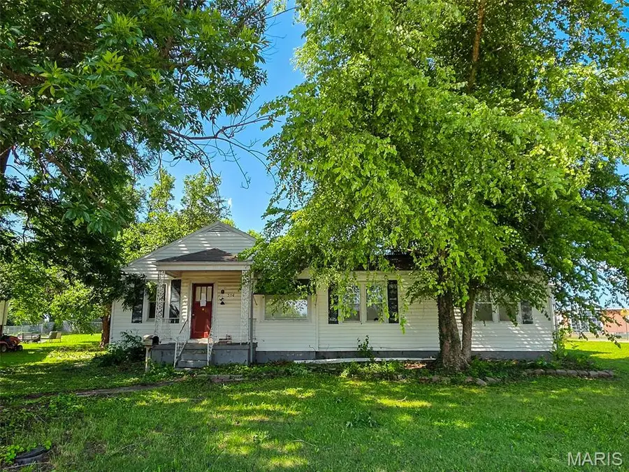 316 Albert Street, Fredericktown, MO 63645 - #2