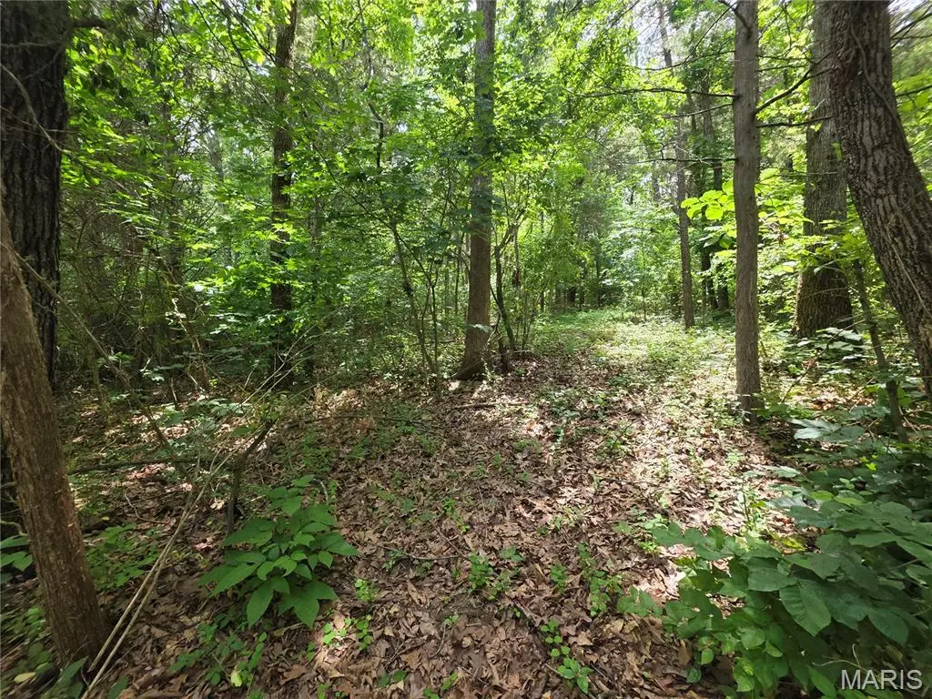 0 S Lake Shore Drive, Hillsboro, MO 63050 - #1