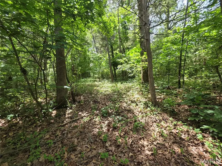 0 S Lake Shore Drive, Hillsboro, MO 63050 - #2