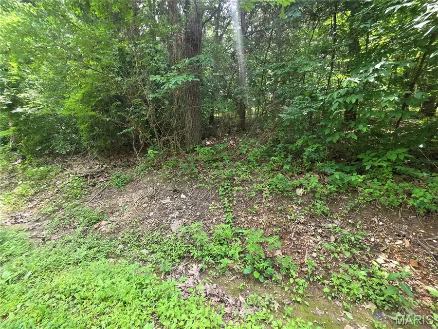 0 S Lake Shore Drive, Hillsboro, MO 63050 - #3