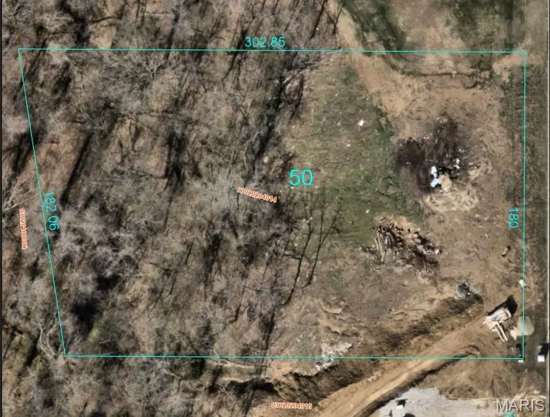 [LOT 50] 557 Willow Bend Lane, O Fallon, IL 62269 - #2