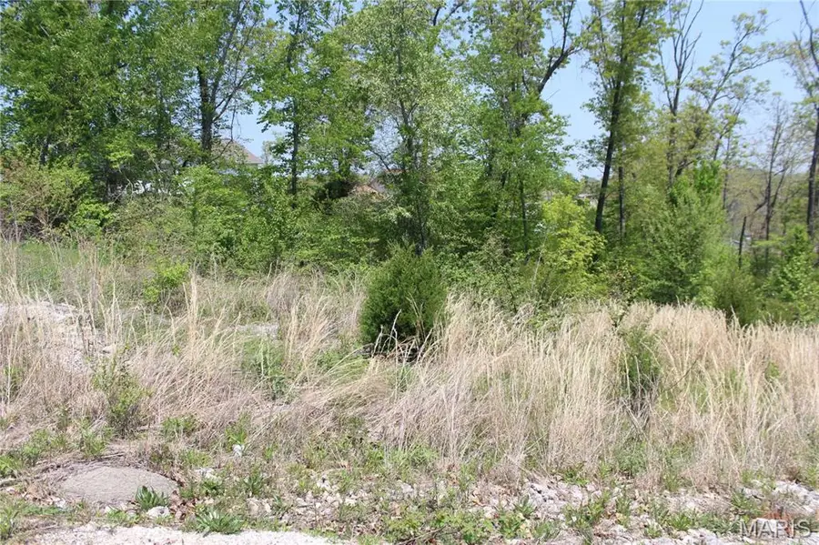 0 Trace Drive, Saint Robert, MO 65584 - #2