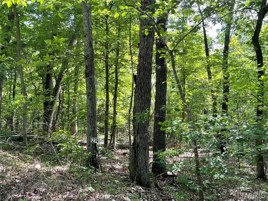 274 Oak Ridge Road, Bourbon, MO 65441 - #3