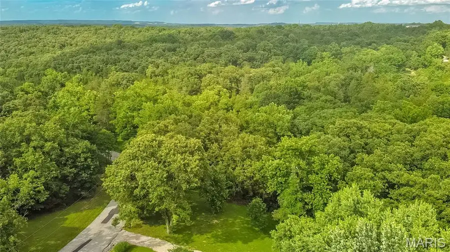 0 Watson Road, Festus, MO 63028 - #2