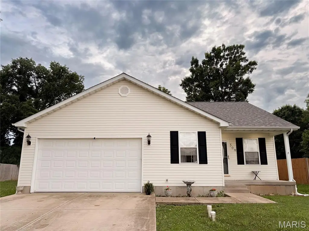 509 Bass Street, Park Hills, MO 63601 - #1