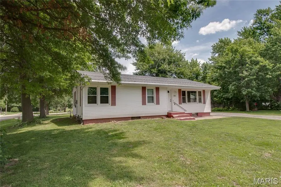 393 W Oak Street, Palmyra, IL 62674 - #2