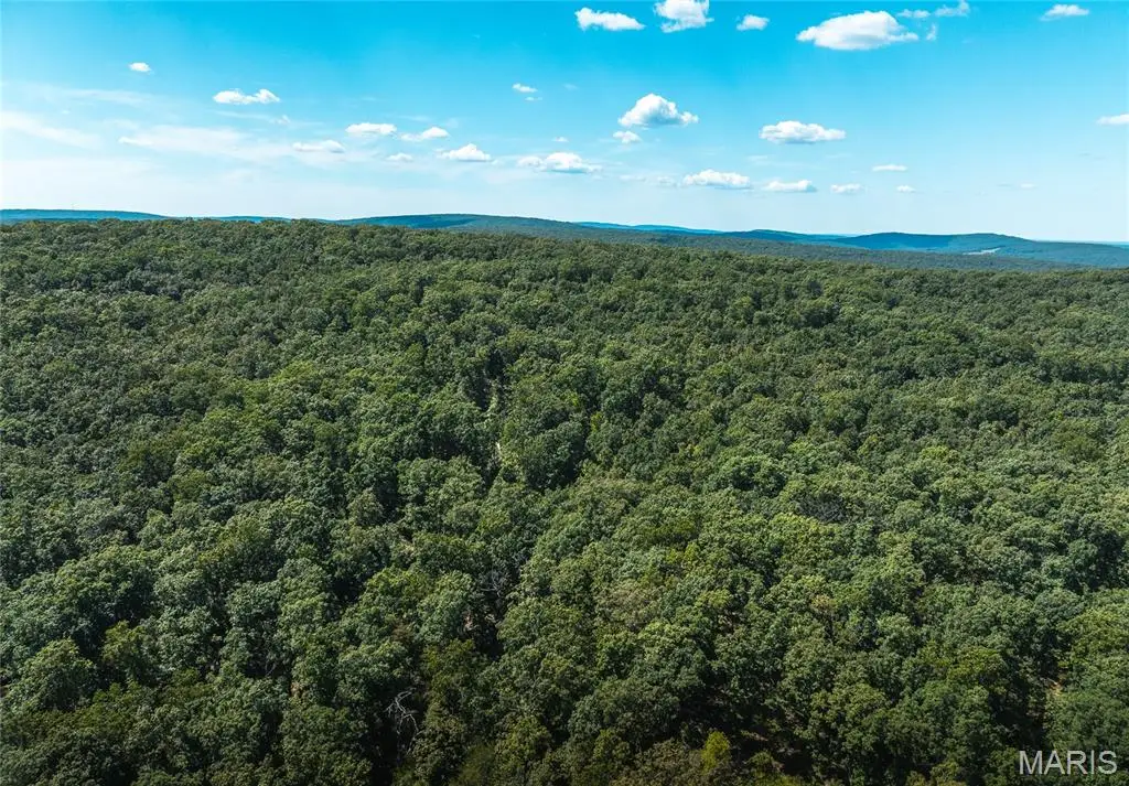 1 Buck Mountain Road, Doe Run, MO 63637 - #1
