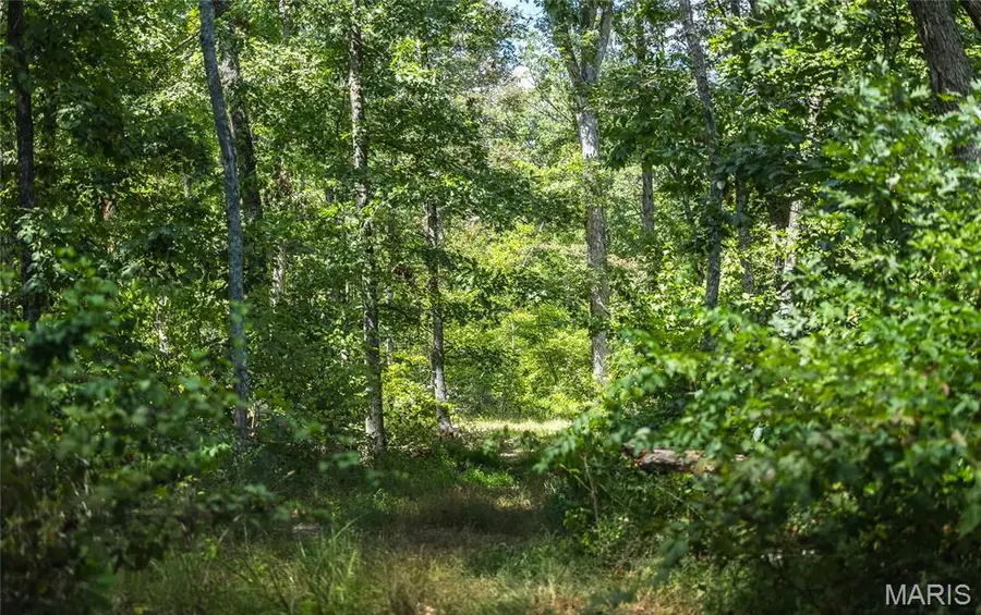1 Buck Mountain Road, Doe Run, MO 63637 - #2