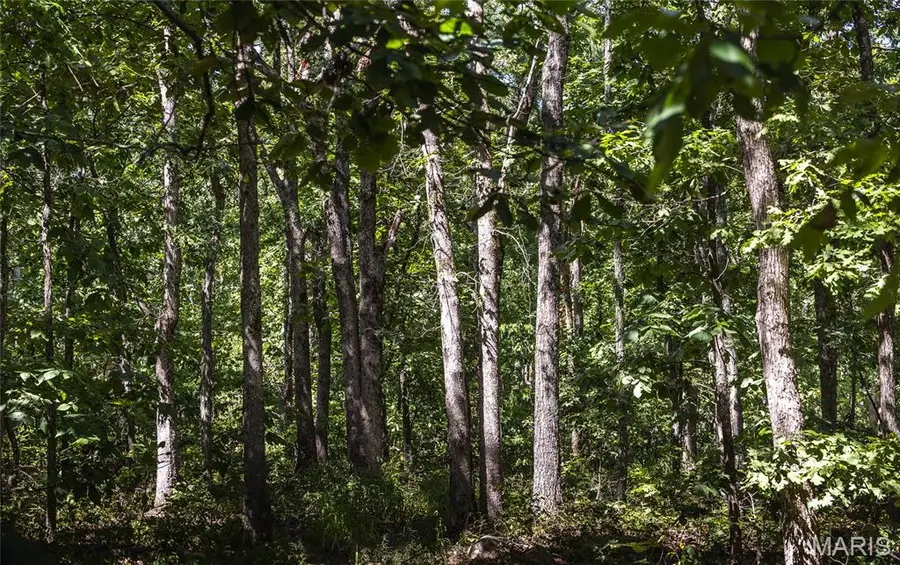 1 Buck Mountain Road, Doe Run, MO 63637 - #3
