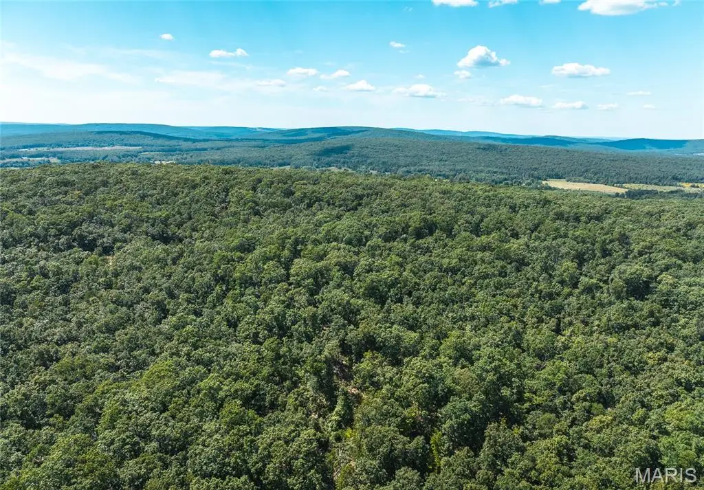 3 Buck Mountain Road, Pendleton, MO 63667 - #1