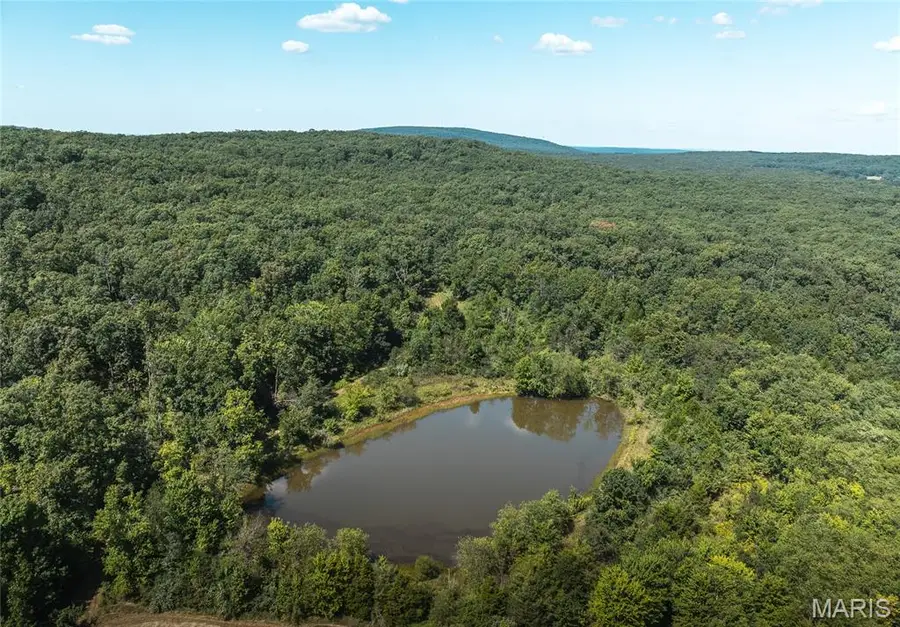 4 Buck Mountain Road, Doe Run, MO 63637 - #3