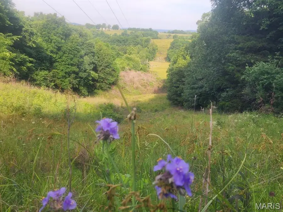 22206 Tree Farm (6.52acres +/-) Road, Warrenton, MO 63383 - #3