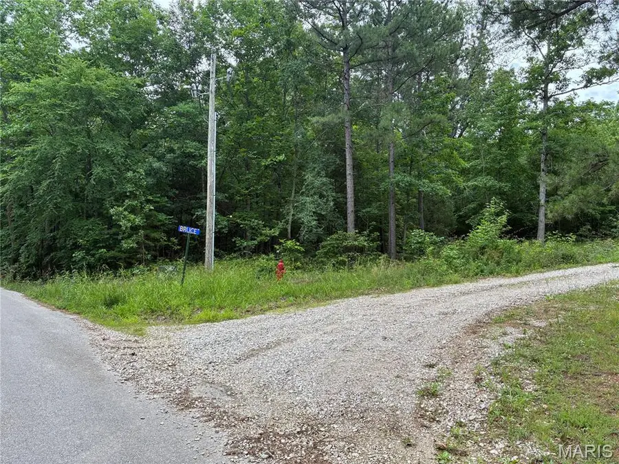 0 Bruce, Poplar Bluff, MO 63901 - #2