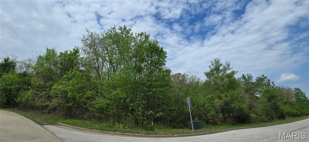 LOT 1&2 Epple-fricke Drive, Hermann, MO 65041 - #1