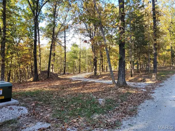 161 Steeple Point Drive, Defiance, MO 63341
