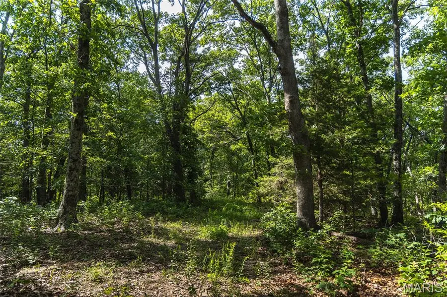 275 Oak Ridge Road, Bourbon, MO 65441 - #2