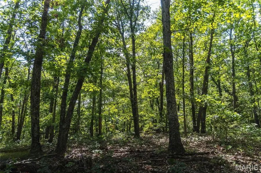 275 Oak Ridge Road, Bourbon, MO 65441 - #3