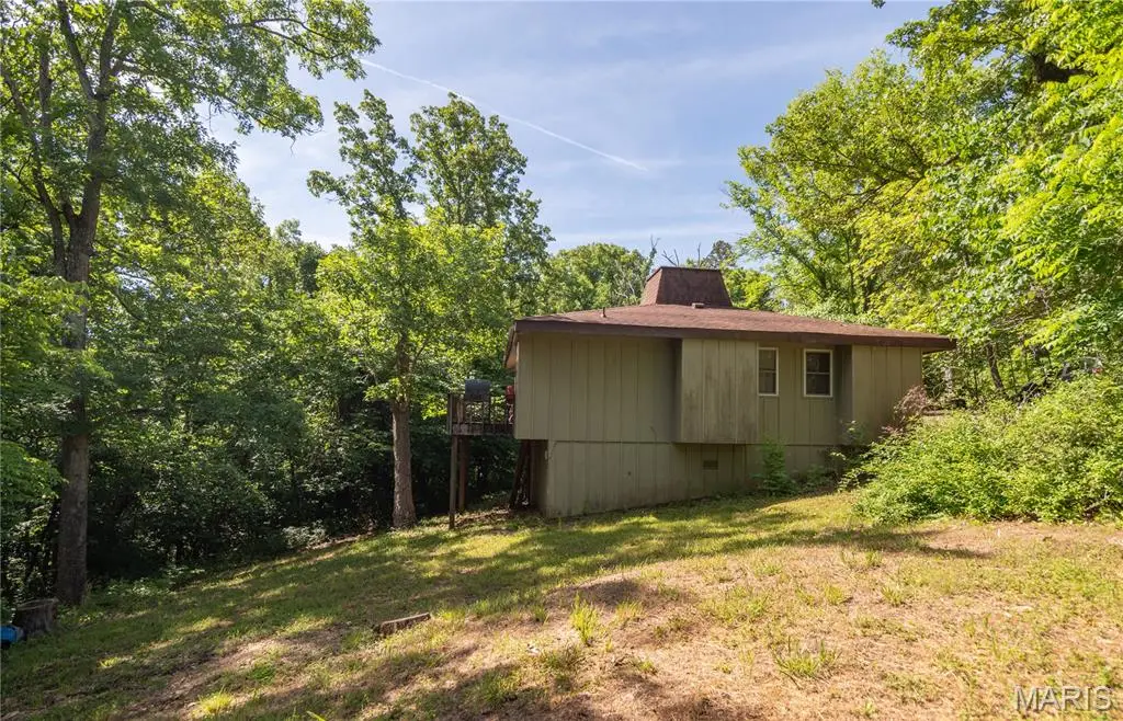 198 Lakeview Drive, Van Buren, MO 63965 - #1