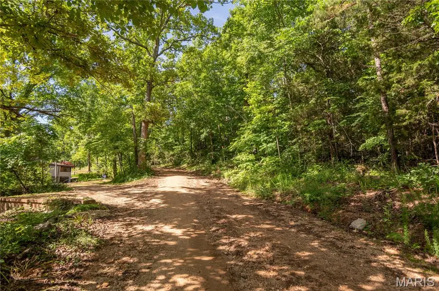 198 Lakeview Drive, Van Buren, MO 63965 - #2