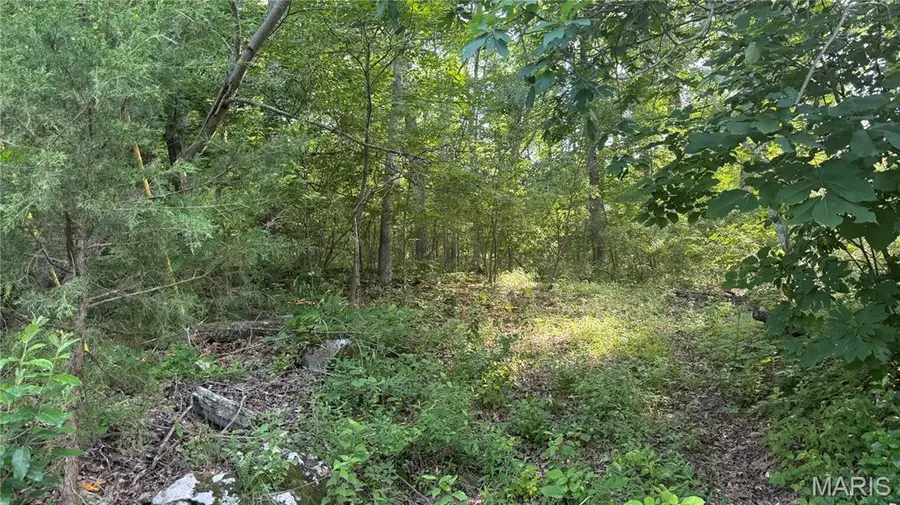9305 Beach Drive, French Village, MO 63036 - #2