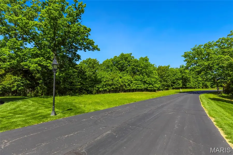 31 Grand Meridien Court, Wildwood, MO 63005 - #3