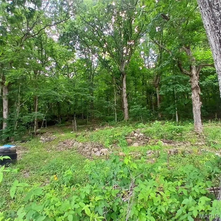 14773 Highway E, Arcadia, MO 63621 - #2