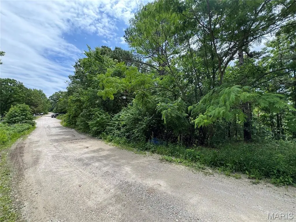 TBD Harvey Drive, Dixon, MO 65459 - #1