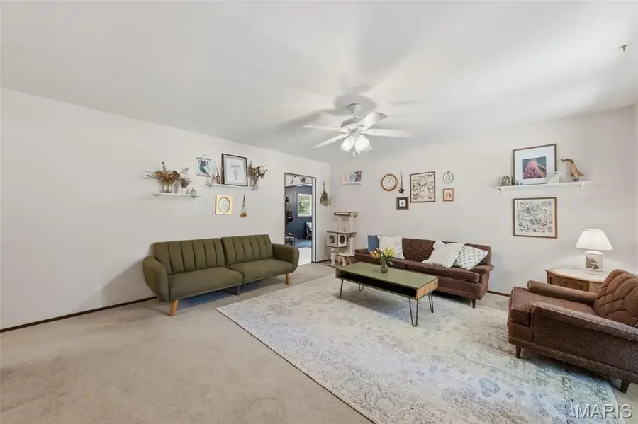 32 Country Lane, Festus, MO 63028 - #3
