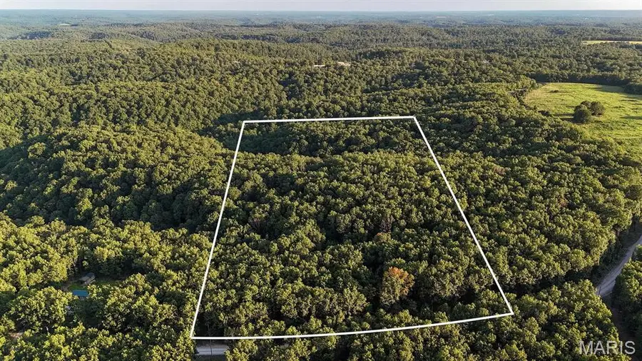 0 Box Hollow, Lebanon, MO 65536 - #3