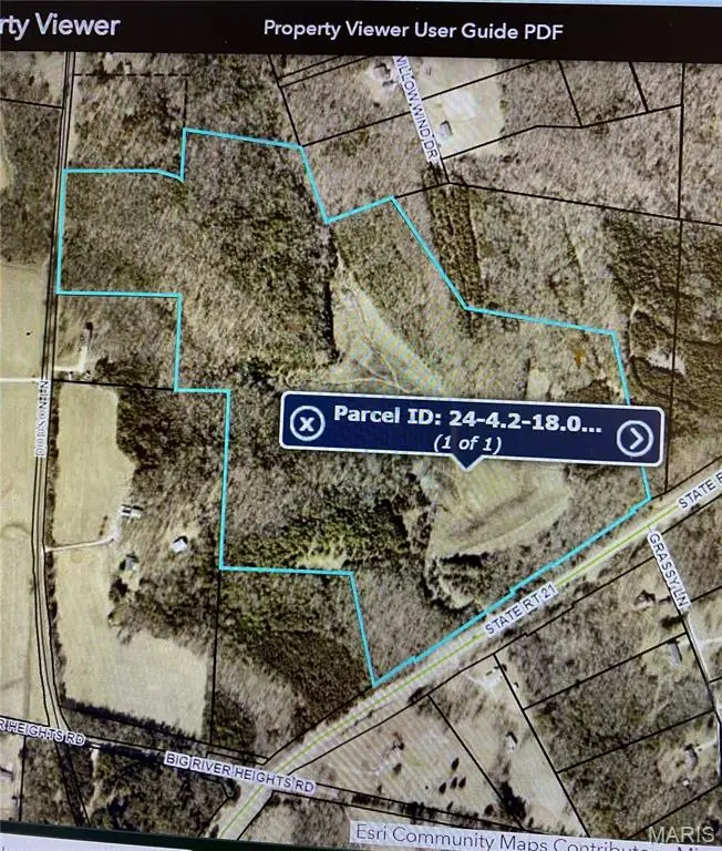 0 State Route 21, De Soto, MO 63020 - #2