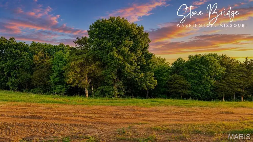217 Fiddler's Close Road #217 STB Phase V, Washington, MO 63090 - #1