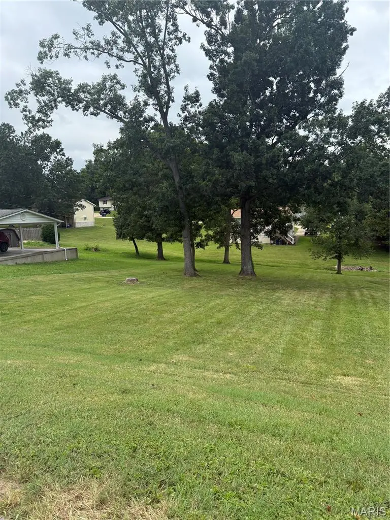 Lot 16A N 6th St, De Soto, MO 63020 - #2