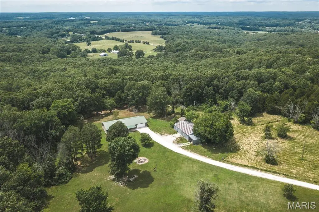 8107 Highway 185, Leslie, MO 63056 - #1