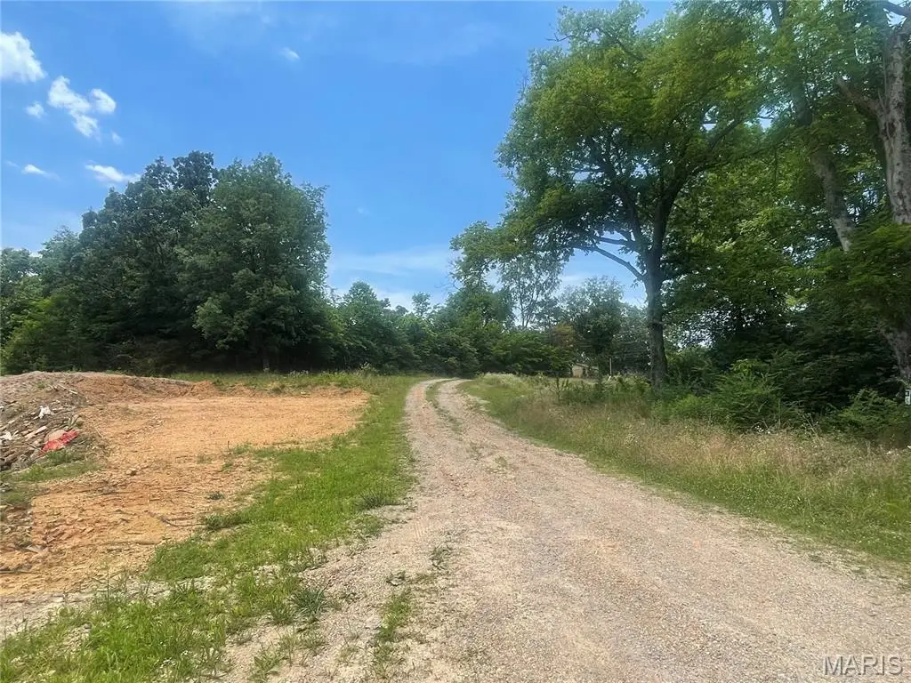 2318 N Main Street, Poplar Bluff, MO 63901 - #1