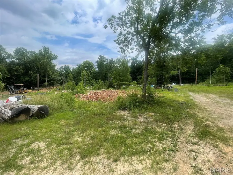2318 N Main Street, Poplar Bluff, MO 63901 - #3