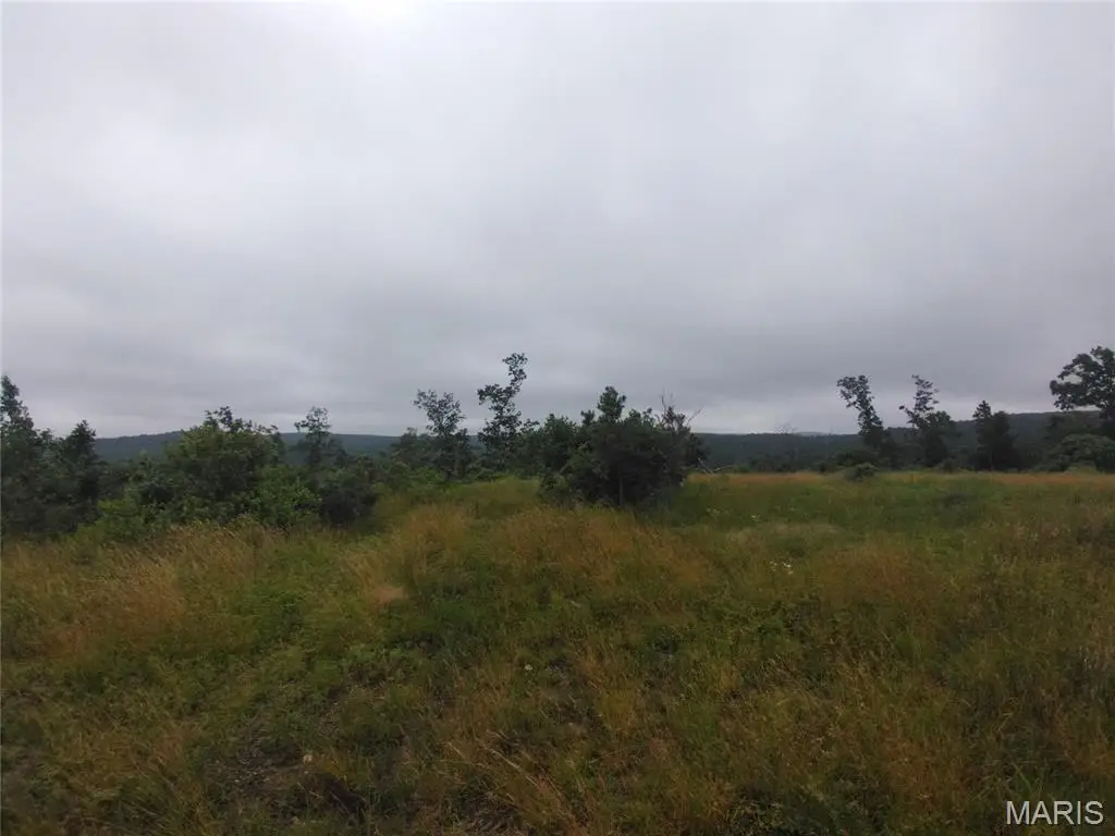 10 Tract 10 Off Hwy O, Belleview, MO 63623 - #1