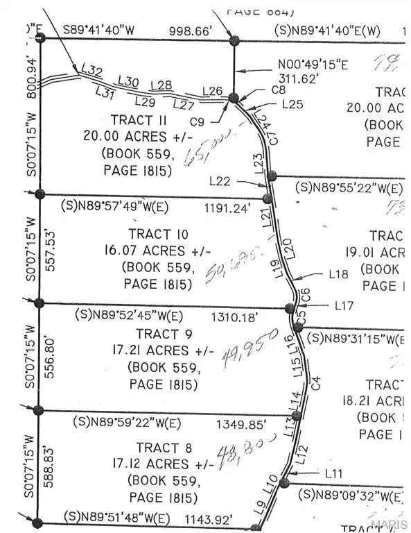 10 Tract 10 Off Hwy O, Belleview, MO 63623 - #3