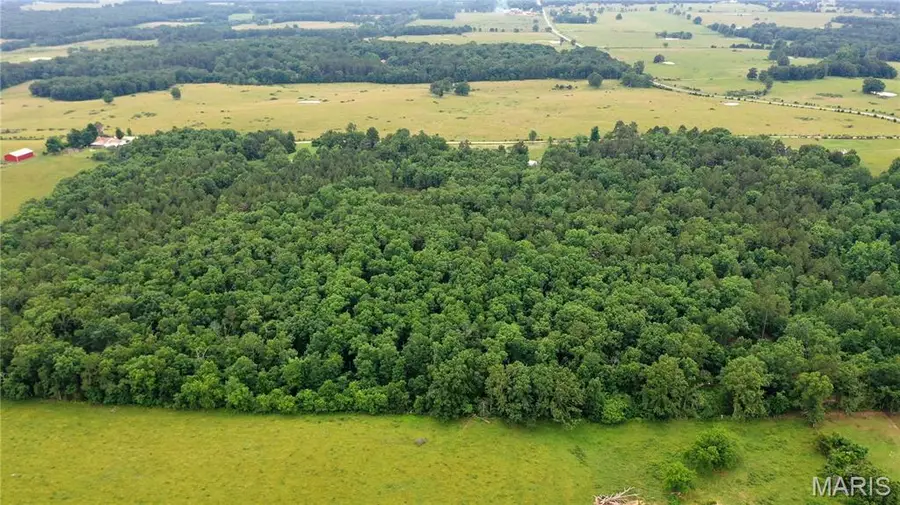 22711 Center Valley Road, Hartshorn, MO 65479 - #3