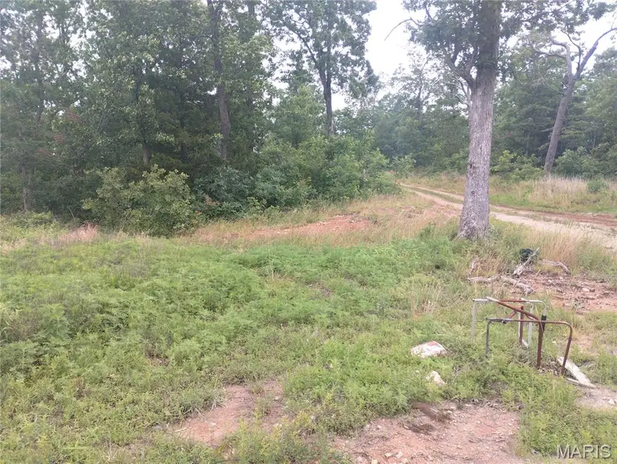 11 Tract 11 Off Hwy O, Belleview, MO 63623 - #3
