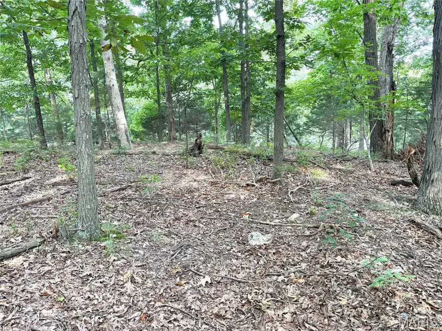 17134 Hidden Valley Forest, Wildwood, MO 63025 - #3