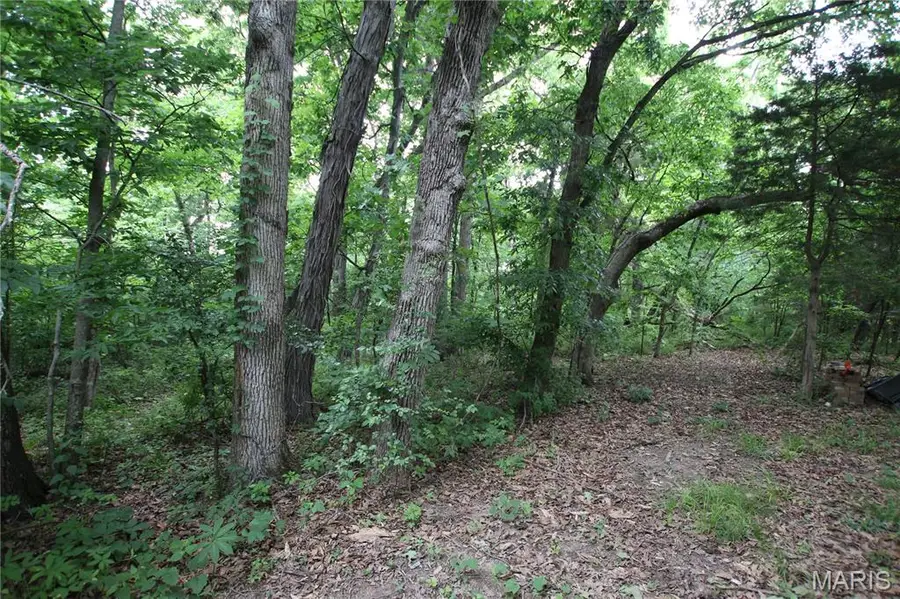 8B Donegal, Warrenton, MO 63383 - #2