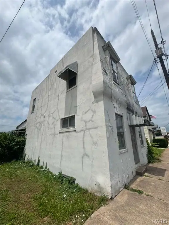 825 S Illinois Street, Belleville, IL 62220 - #2