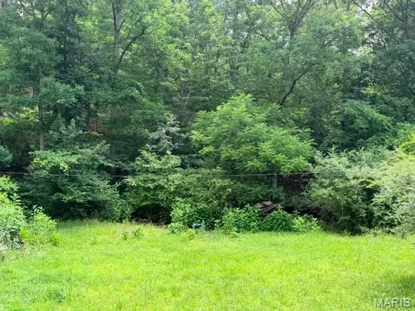 00 NE 6th Street, Mill Spring, MO 63952