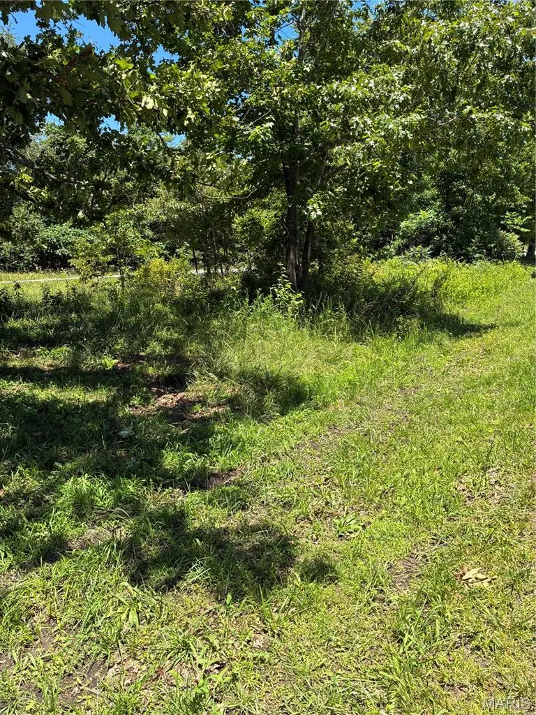 TBD E Highway, Grandin, MO 63943 - #1