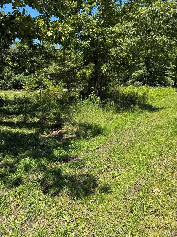 TBD E Highway, Grandin, MO 63943