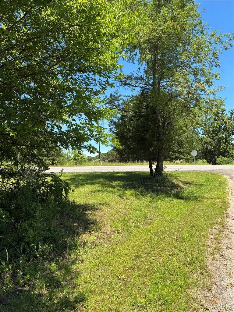 TBD E Highway, Grandin, MO 63943 - #2
