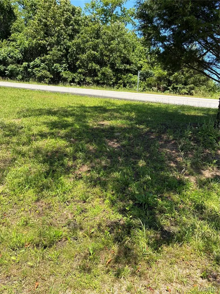 TBD E Highway, Grandin, MO 63943 - #3