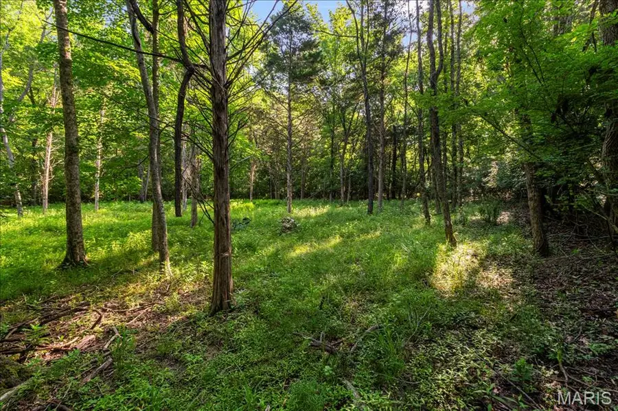 3701 Bear Tooth Lane, Wildwood, MO 63069 - #3
