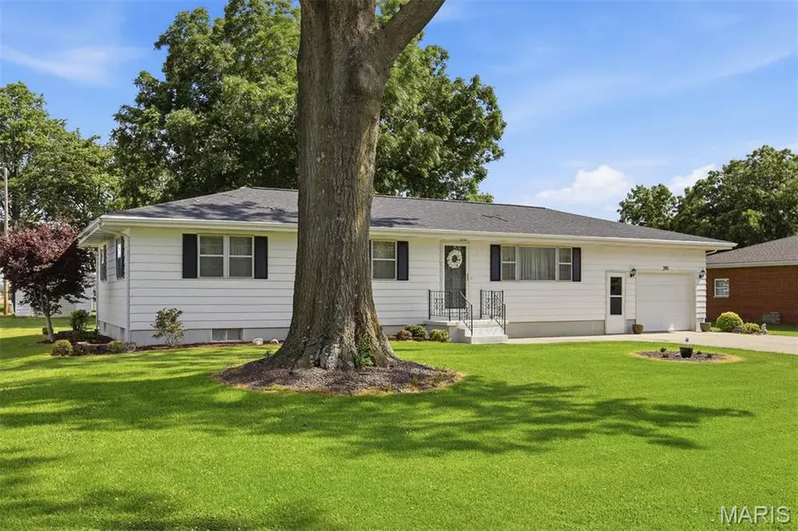 391 E Wilson Street, Beckemeyer, IL 62219 - #3